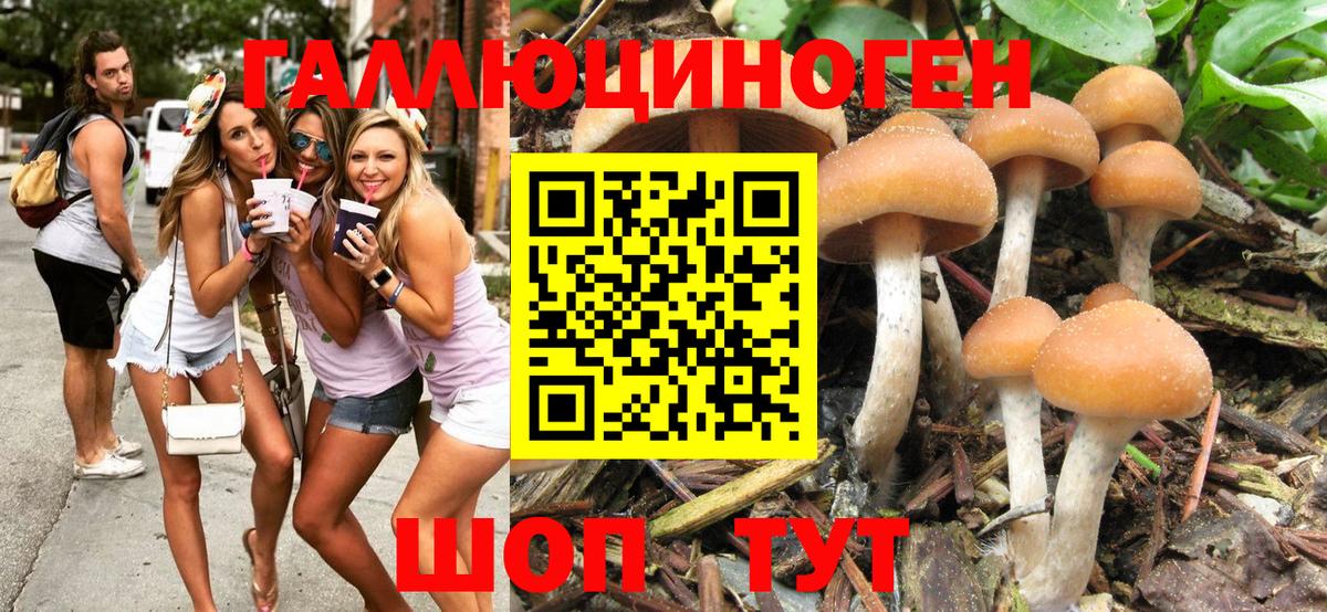 Псилоцибиновые грибы GOLDEN TEACHER Нижневартовск